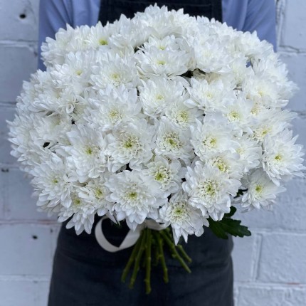 Белая кустовая хризантема - купить с доставкой в по Тамбову