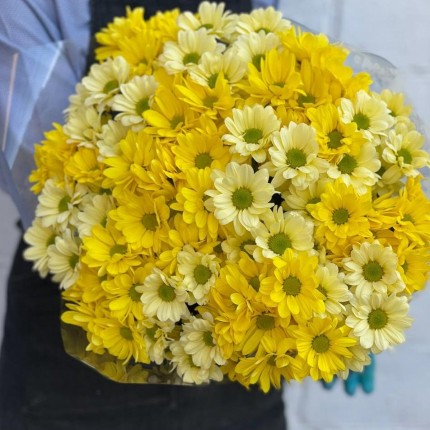 желтая кустовая хризантема - купить с доставкой в по Тамбову